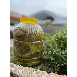 pickled leaves (3kg)