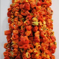 Dried hot pepper for stuffing