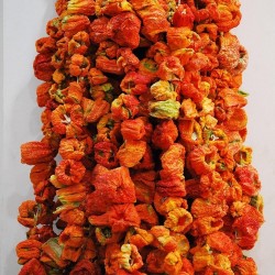 Dried hot pepper for stuffing