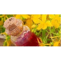 St. John's Wort oil (250ml)