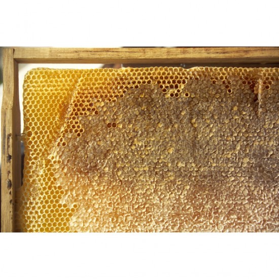 miel en nid d'abeille à lattes 2100-2300gr