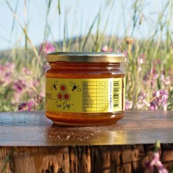 Lemon Blossom Honey 400gr